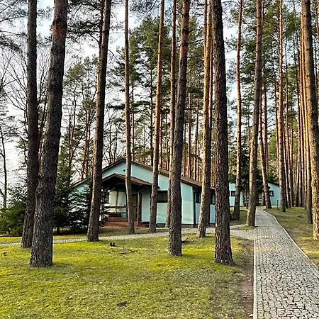 Przystanek Zatoka * Ставигуда